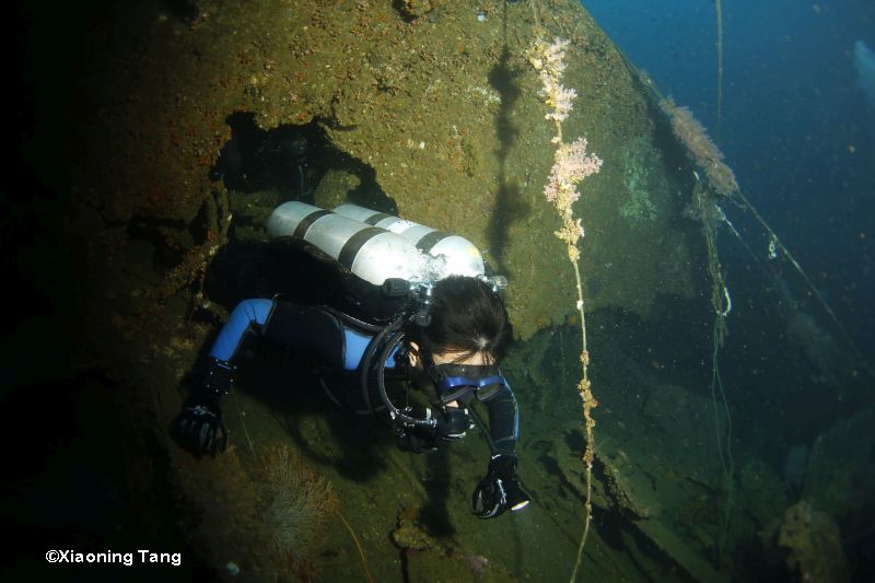 Wreck Diver